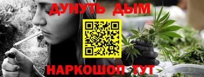 мдпв Славгород