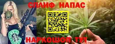 мдпв Славгород