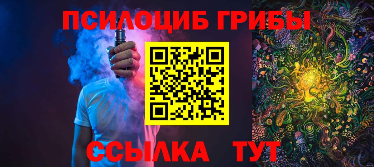 Оренбург  где купить наркоту  Вход с VPN  Псилоцибиновые грибы Psilocybine cubensis 