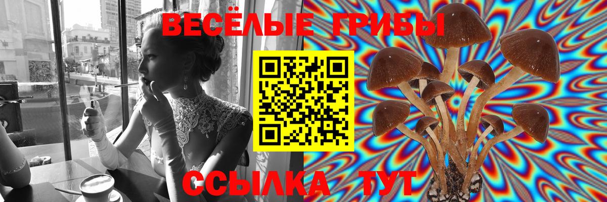 Псилоцибиновые грибы Psilocybine cubensis Оренбург